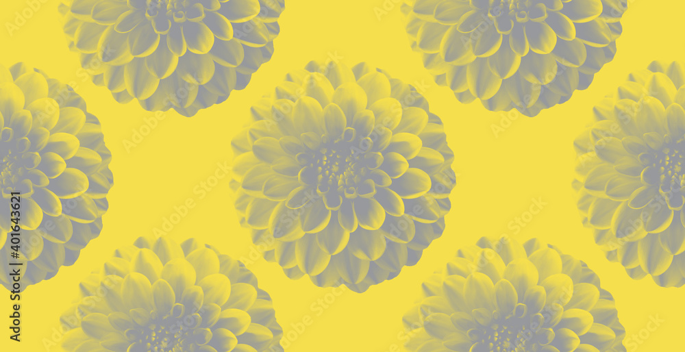 Trendy colors of 2021 year illuminating yellow and ultimate gray chrysanthemum. Pattern seamless.