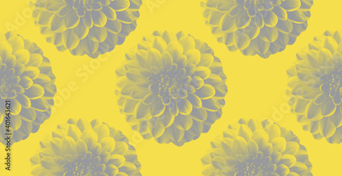 Trendy colors of 2021 year illuminating yellow and ultimate gray chrysanthemum. Pattern seamless.