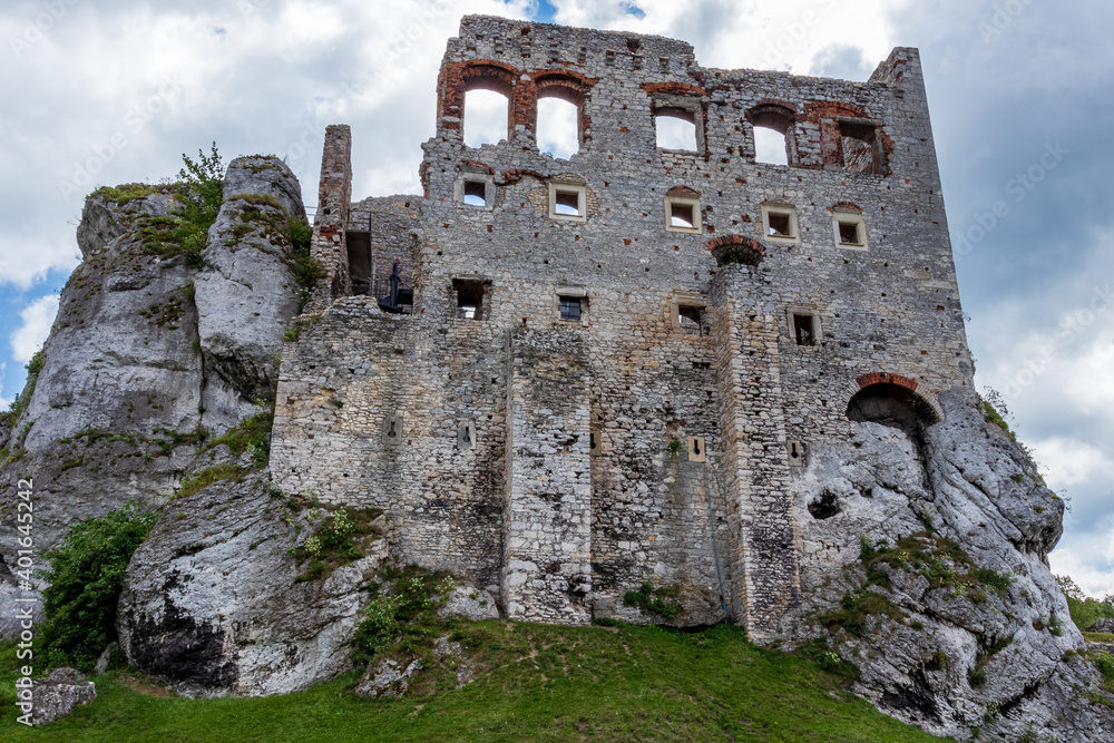 Ruins of a medieval castle