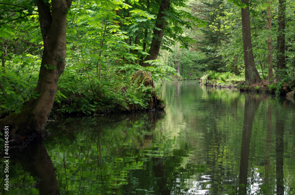 Canal in the Spreewald Biosphere Reserve in Germany, Europe