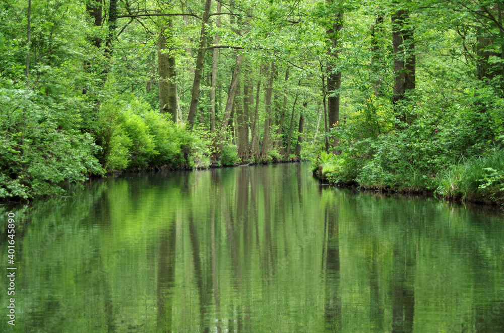 Canal in the Spreewald Biosphere Reserve in Germany, Europe