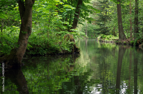 Canal in the Spreewald Biosphere Reserve in Germany  Europe