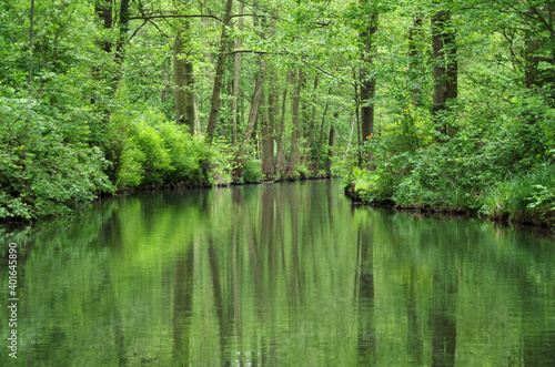 Fototapeta Naklejka Na Ścianę i Meble -  Canal in the Spreewald Biosphere Reserve in Germany, Europe
