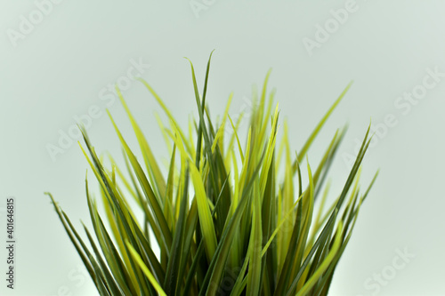 Długie, zielone liście sztucznej trawy.
