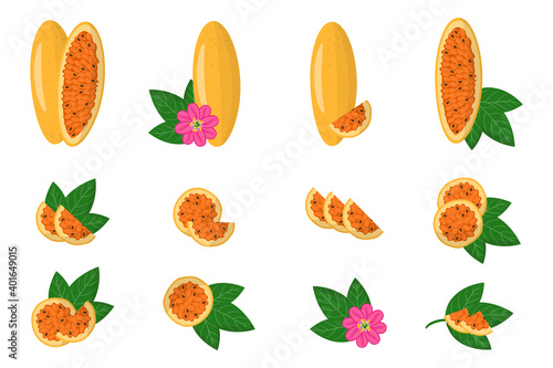 Set of illustrations with Curuba exotic fruits, flowers and leaves isolated on a white background. photo