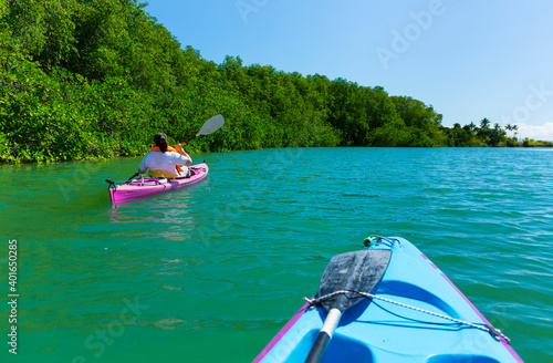 Mangrove, Puerto Jiménez, Golfo Dulce, Osa Peninsula, Costa Rica, Central America, America photo