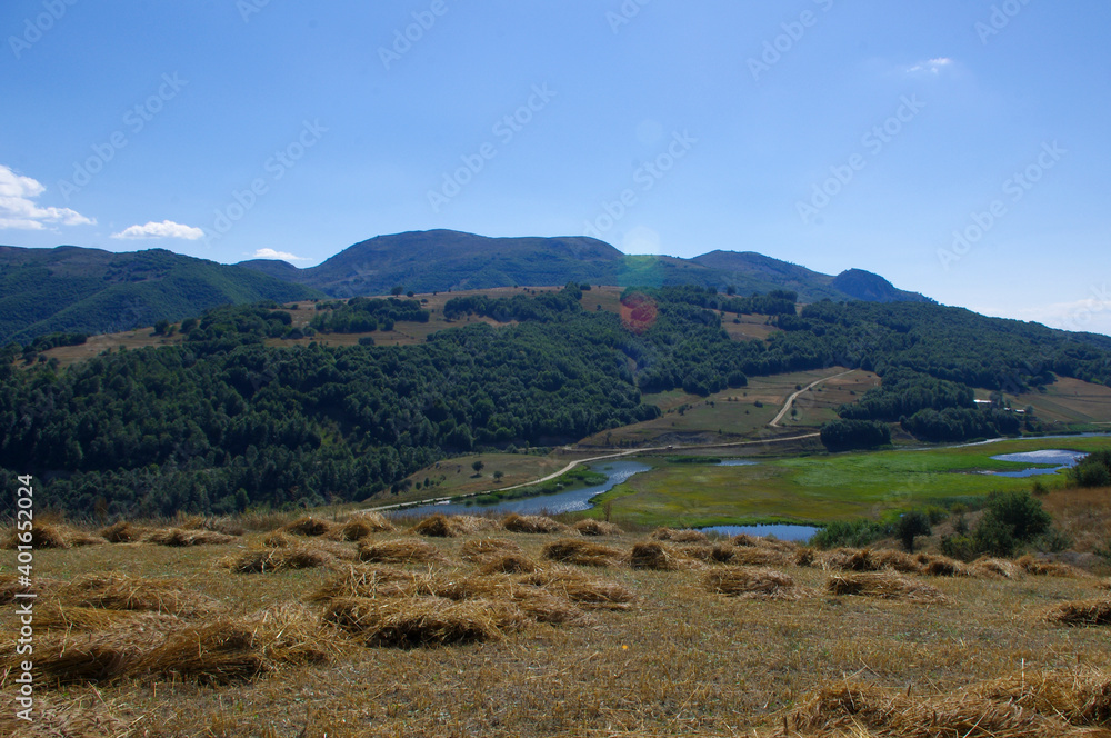 Meadow landscape, green bushes and stream.
