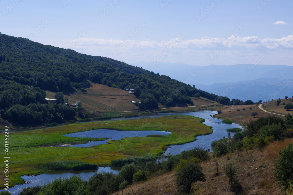 Fototapeta premium Meadow landscape, green bushes and stream.