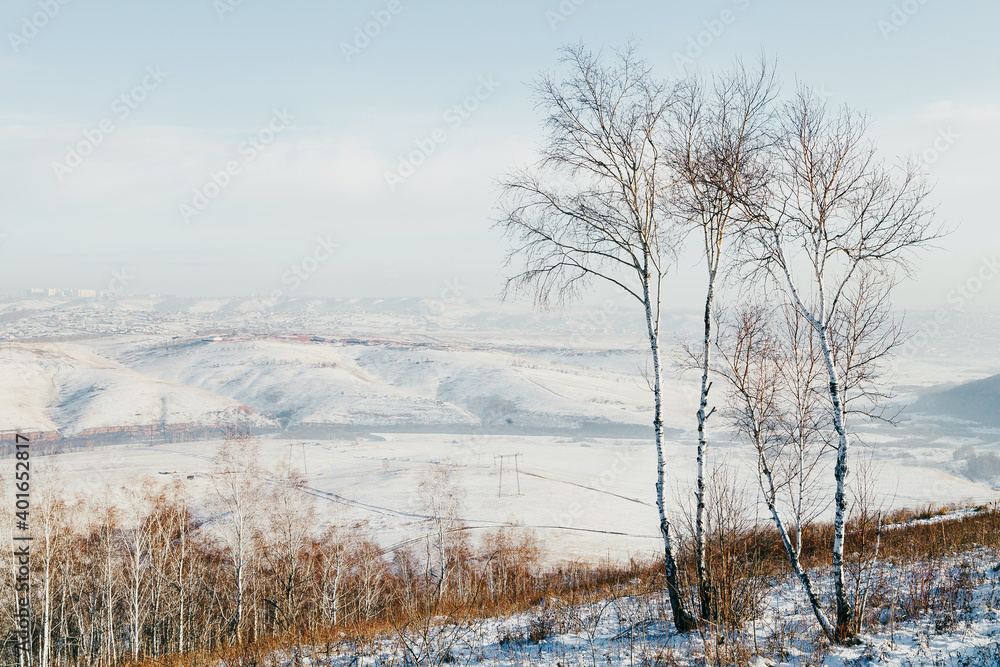 Winter landscape-birch trees on a snow-covered hill. Winter landscape-birch trees on a snow-covered hill.