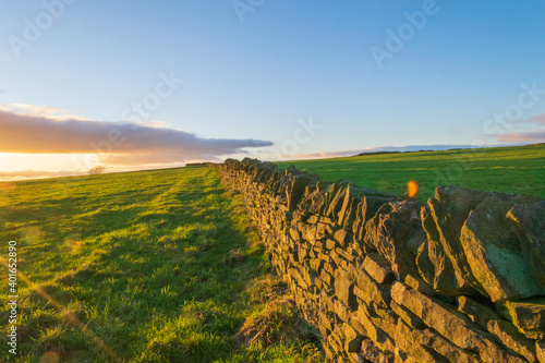 sunset over the field
