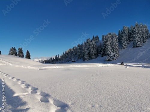 landscape in the mountains