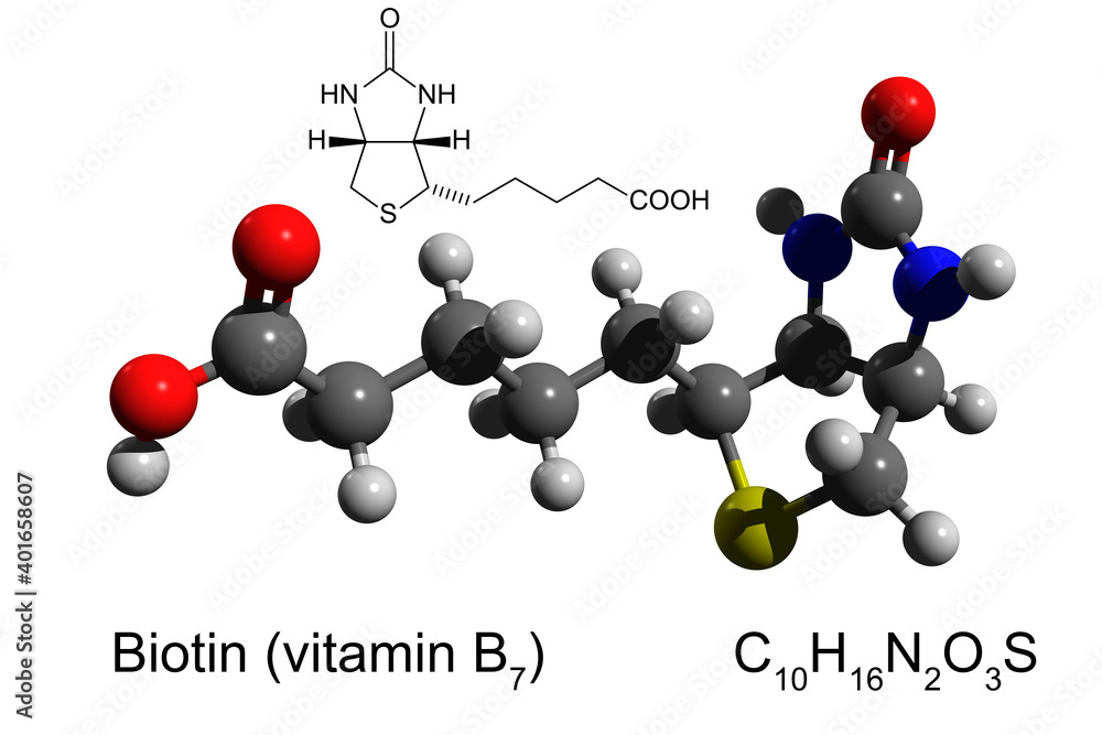 Chemical formula, skeletal formula and 3D ball-and-stick model of vitamin B7 (biotin), white background Chemical formula, skeletal formula and 3D ball-and-stick model of vitamin B7 (biotin), white background