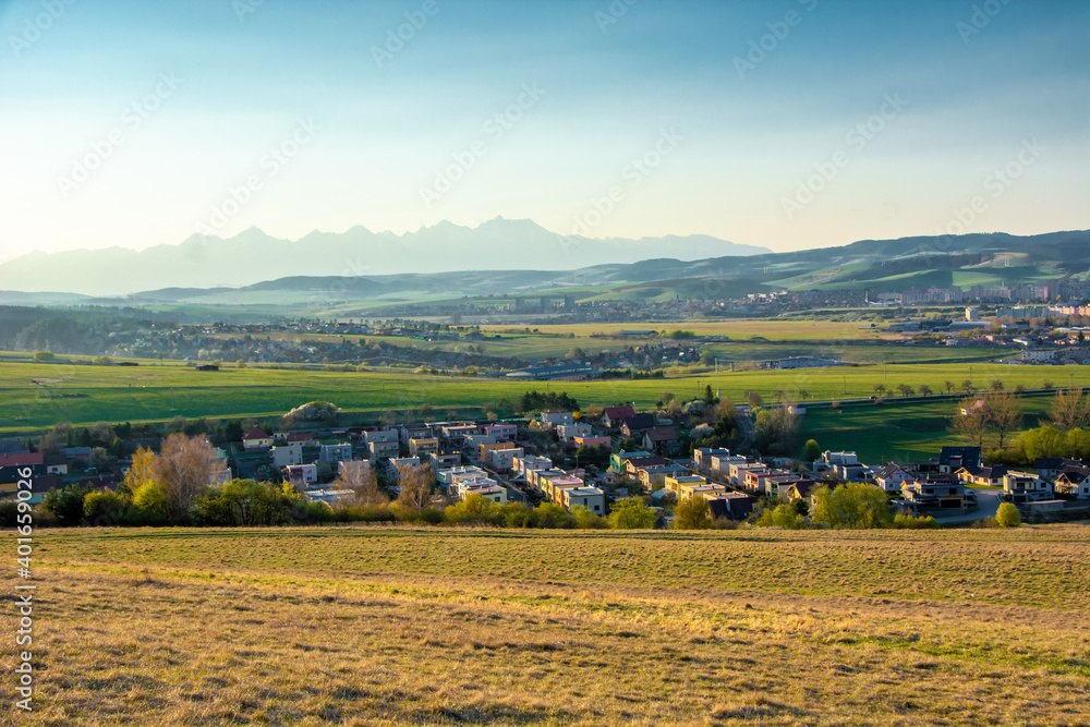 Fototapeta premium vineyard in autumn