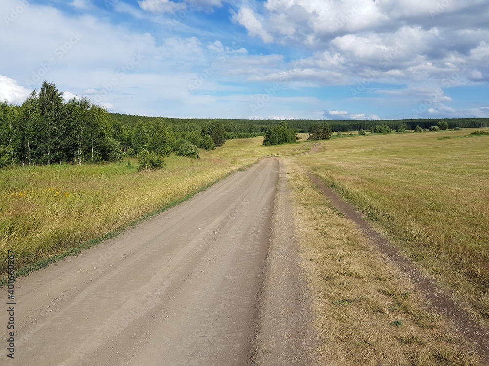 Dirt road in a wheat field