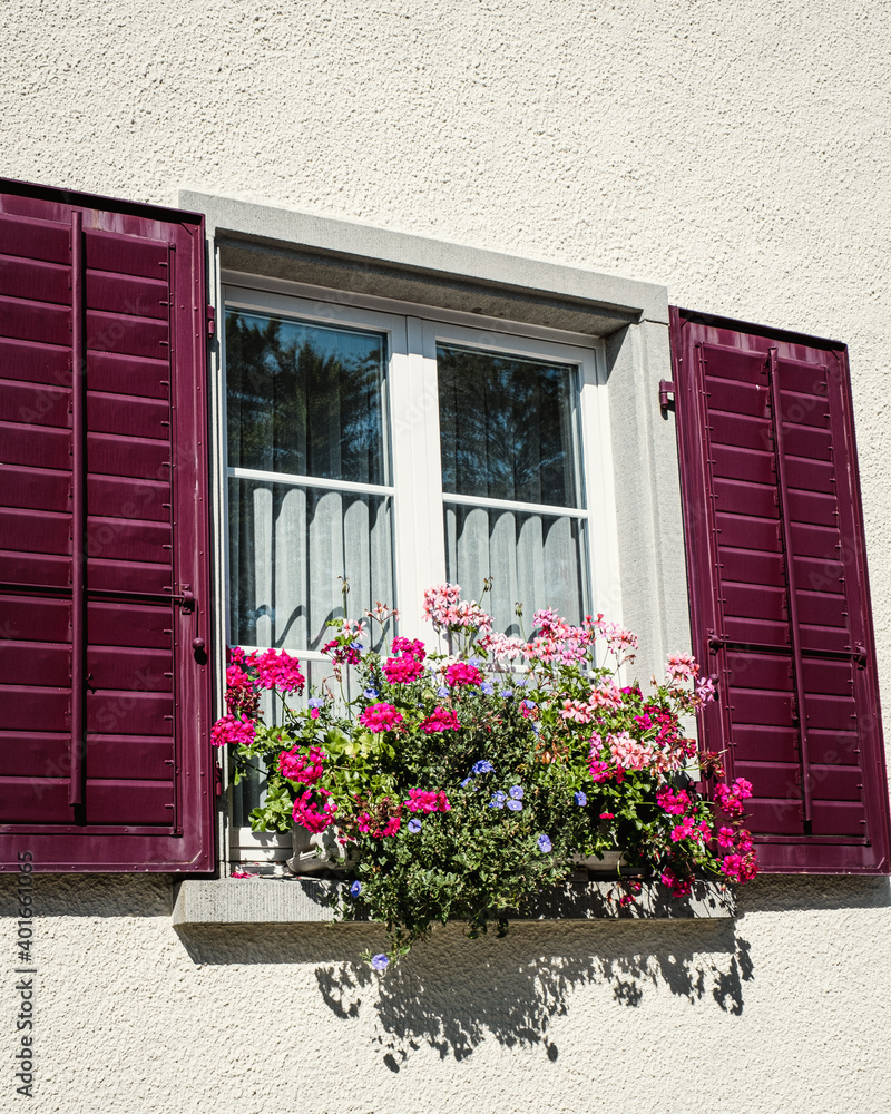 Rustic window with red shutters and flower pots in white rural house, Switzerland, Canton of St. Gallen