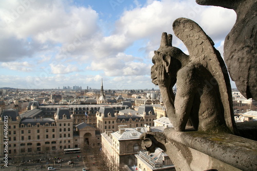 une gargouille surveille Paris depuis Notre Dame © Duleyrie