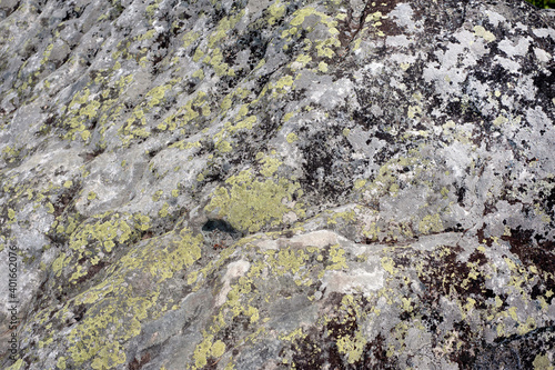 Stone rocks colored and textured by various fungi, lichen and mosses