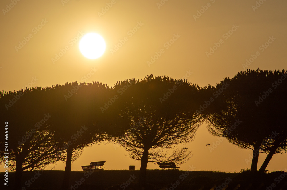 Sunny dawn landscape at a park of Comillas, Cantabria