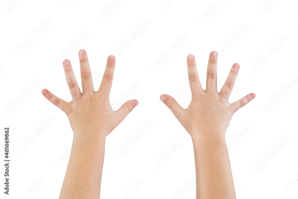 childrens hands show ten fingers isolated on white background. childrens hands show ten fingers isolated on white background.