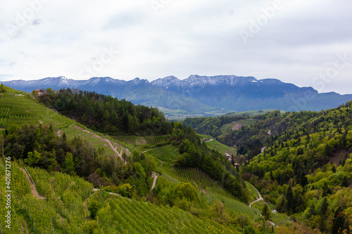 Fototapeta Naklejka Na Ścianę i Meble -  Vineyards near the mountains. Italy's Valpolicella wine route