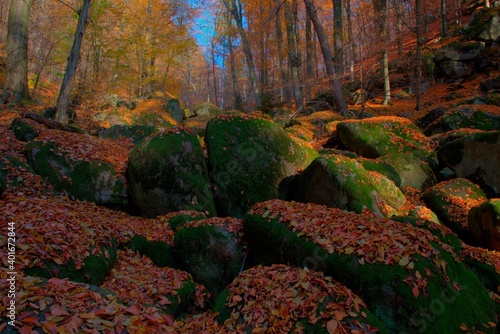 Vlci rokle - stonefall in beach forest during autumn photo