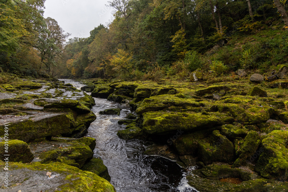 Obraz premium River Wharfe and The Strid