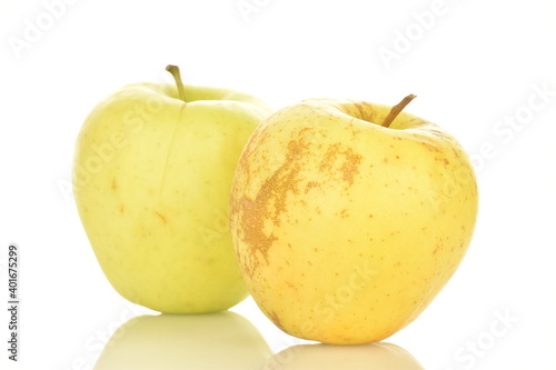 Two fresh yellow apples, close-up, isolated on white.