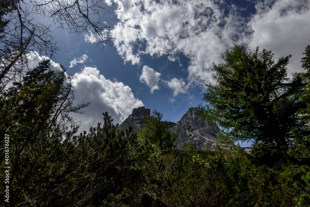 green forest in the mountains with white clouds on the sky
