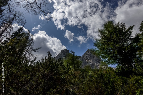 green forest in the mountains with white clouds on the sky © thomaseder