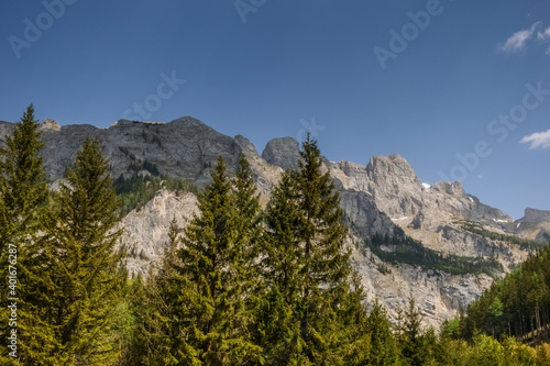 pine trees in front of pointed mountains while hiking