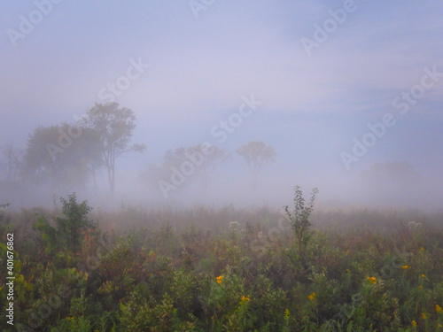 Misty Morning on the Prairie: Beautiful sunrise on the prairie as the fog lifts revealing wildflowers and a few trees on this tranquil scene in the summer on the field