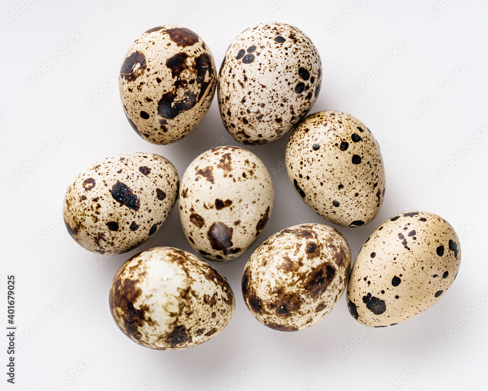 fresh quail eggs on a white acrylic background fresh quail eggs on a white acrylic background