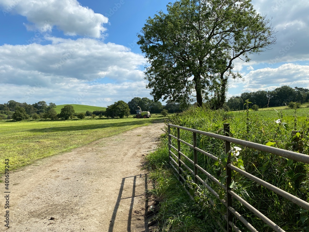 Rural scene, with an open farm gate, leading into farmland in, Bracewell, Clitheroe, UK Rural scene, with an open farm gate, leading into farmland in, Bracewell, Clitheroe, UK
