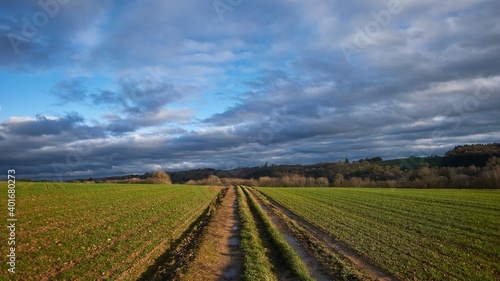 landscape with field and sky