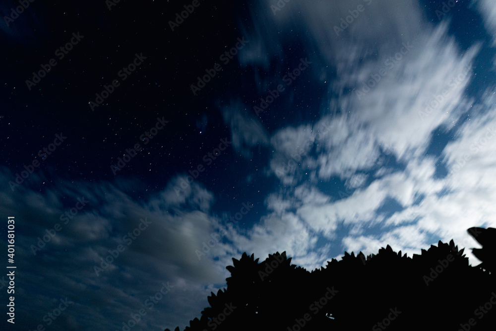 Fototapeta premium 石垣島の夜景