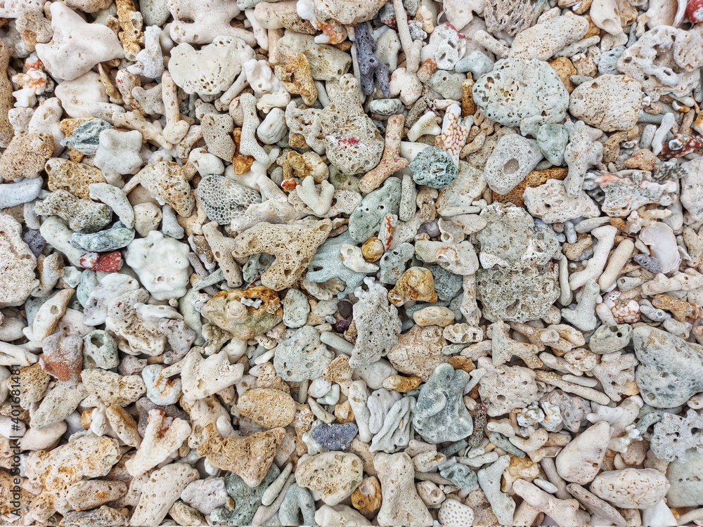 PEKANBARU,INDONESIA - December 26,2020 : Sand on the beach of Pagang Island, Indonesia PEKANBARU,INDONESIA - December 26,2020 : Sand on the beach of Pagang Island, Indonesia