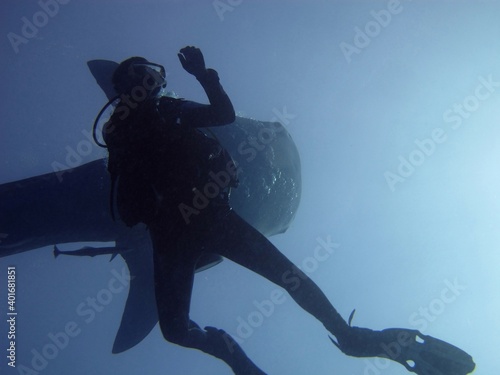 scuba diver in action