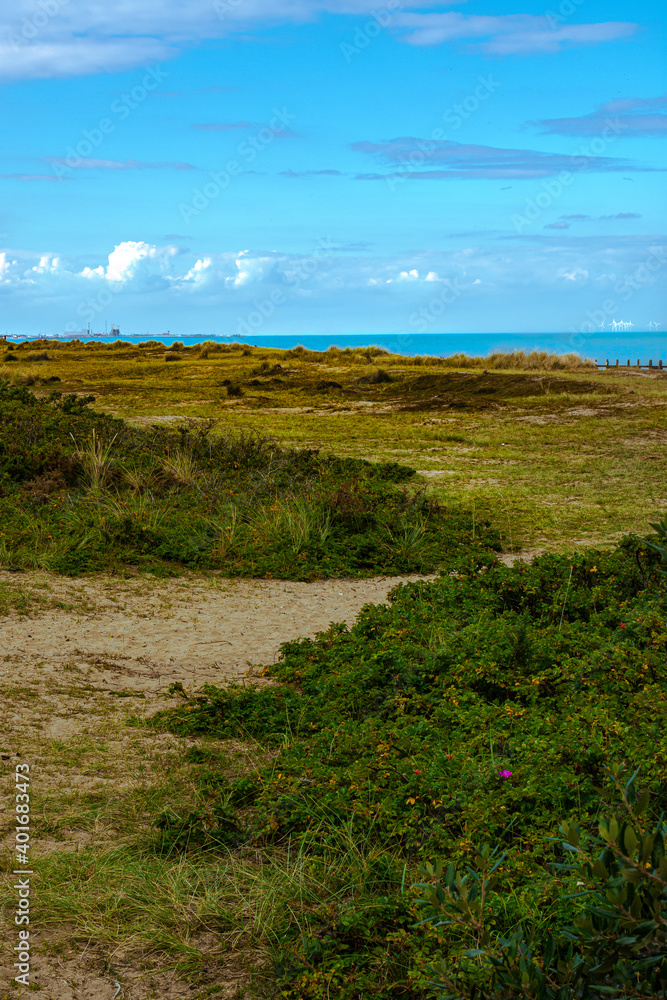 Green coastline with a beautiful blue sea & sky
location - Ness point, Norfolk