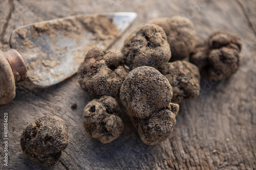 Some black truffes on a wooden surface next to a recollection tool.