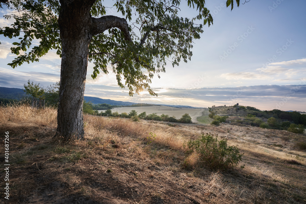 Landscape Landscape