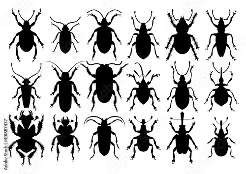Silhouette insect set isolated on the white. Vector illustration. Collection of beetles