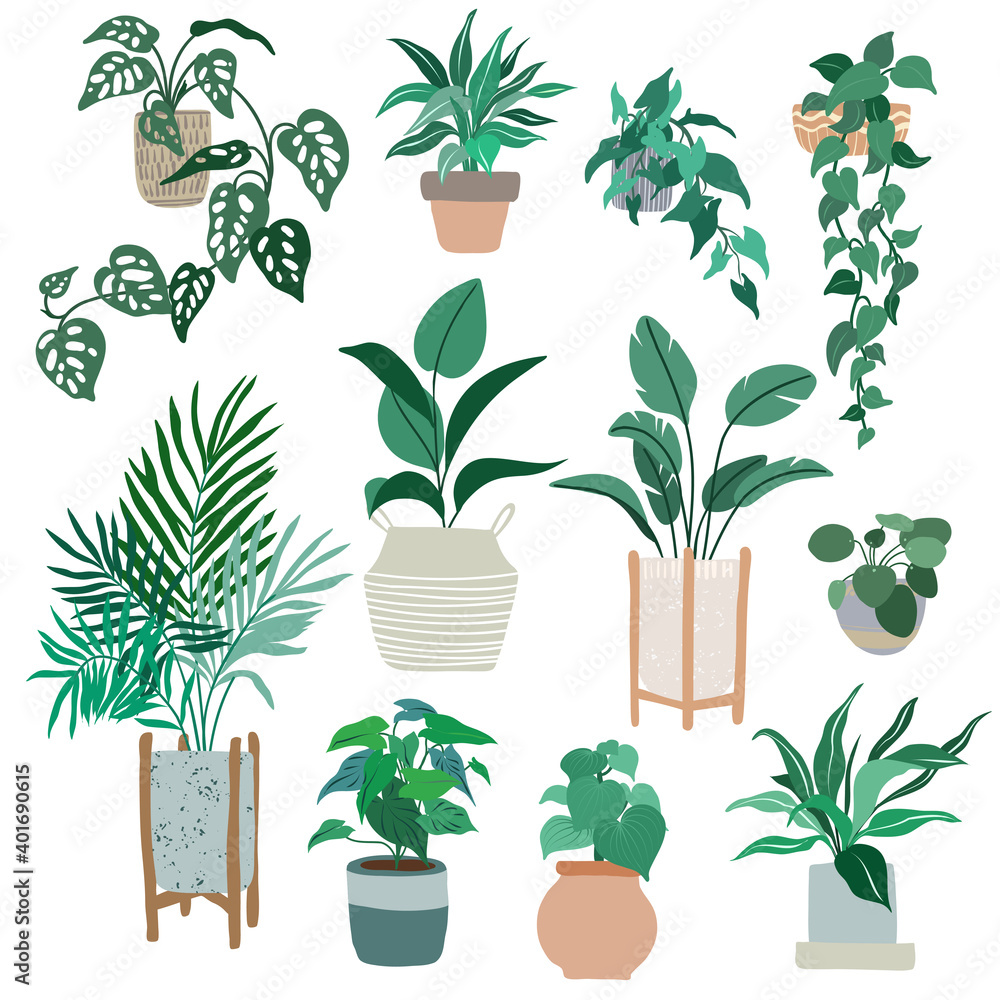 House plants in pots, trendy hand drawn flat 