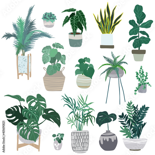 House plants in pots, trendy hand drawn flat 