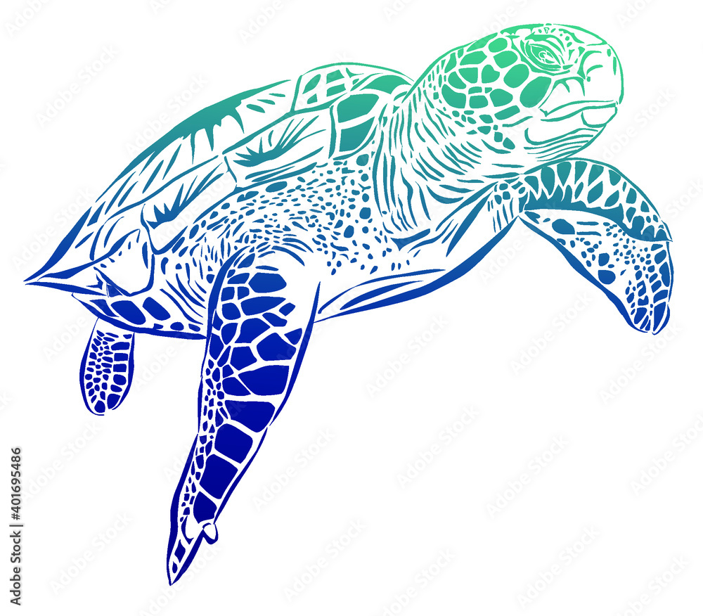 Fototapeta premium A sea turtle that swims calmly in water. The working file allows you to change the colors and is suitable for topics related to ecology, keeping the oceans clean and the life of their inhabitants.