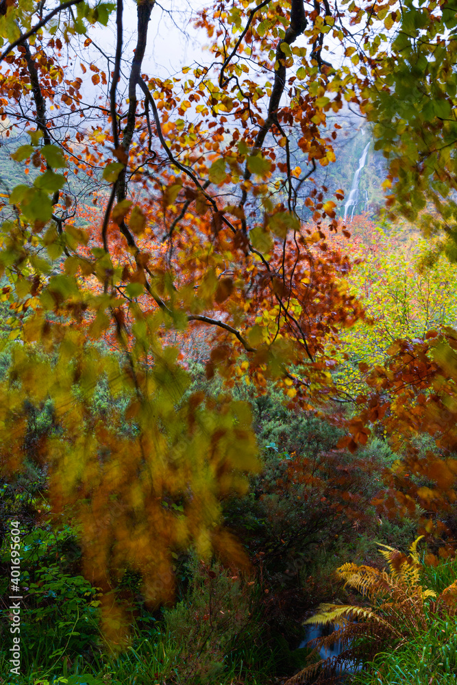 Landscapes and fall colors in the Taballon de Mongallu, Redes Natural Park, in the Caso Council. Asturias, Spain, Europe Landscapes and fall colors in the Taballon de Mongallu, Redes Natural Park, in the Caso Council. Asturias, Spain, Europe