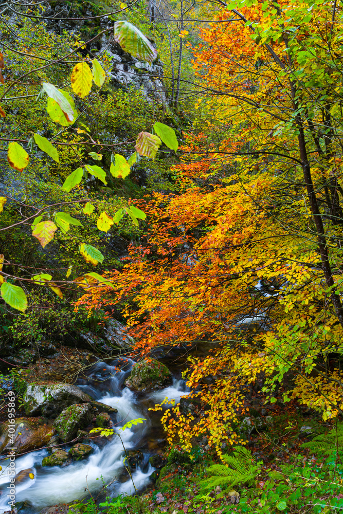 Landscapes and fall colors in the Redes Natural Park, in the Caso Council. Asturias, Spain, Europe Landscapes and fall colors in the Redes Natural Park, in the Caso Council. Asturias, Spain, Europe
