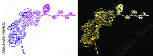 Branch with orchid flowers and buds. The working file allows you to change colors. It can be used on cards, invitations, ads for spa and beauty services, as well as for websites.
