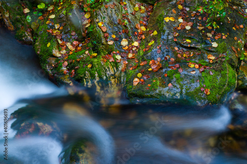 Landscapes and fall colors in the Redes Natural Park, in the Caso Council. Asturias, Spain, Europe photo