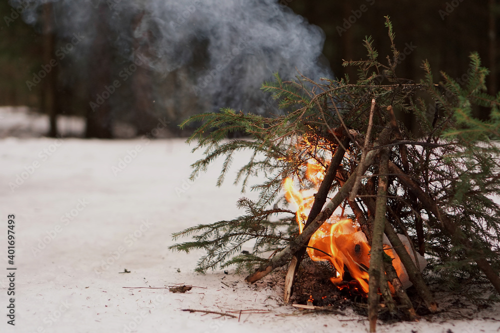 Bonfire of fir branches in the winter forest, survival in the cold and wildlife Bonfire of fir branches in the winter forest, survival in the cold and wildlife