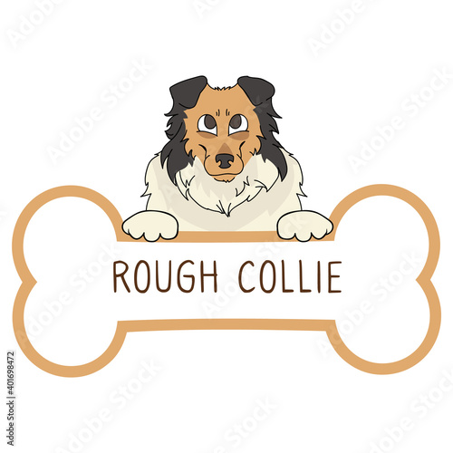 Cute cartoon Scottish Collie on collar dog tag vector clipart. Purebred doggy identification medal for pet id. Domestic dog for pet pooch. 